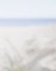 seashore jewellery