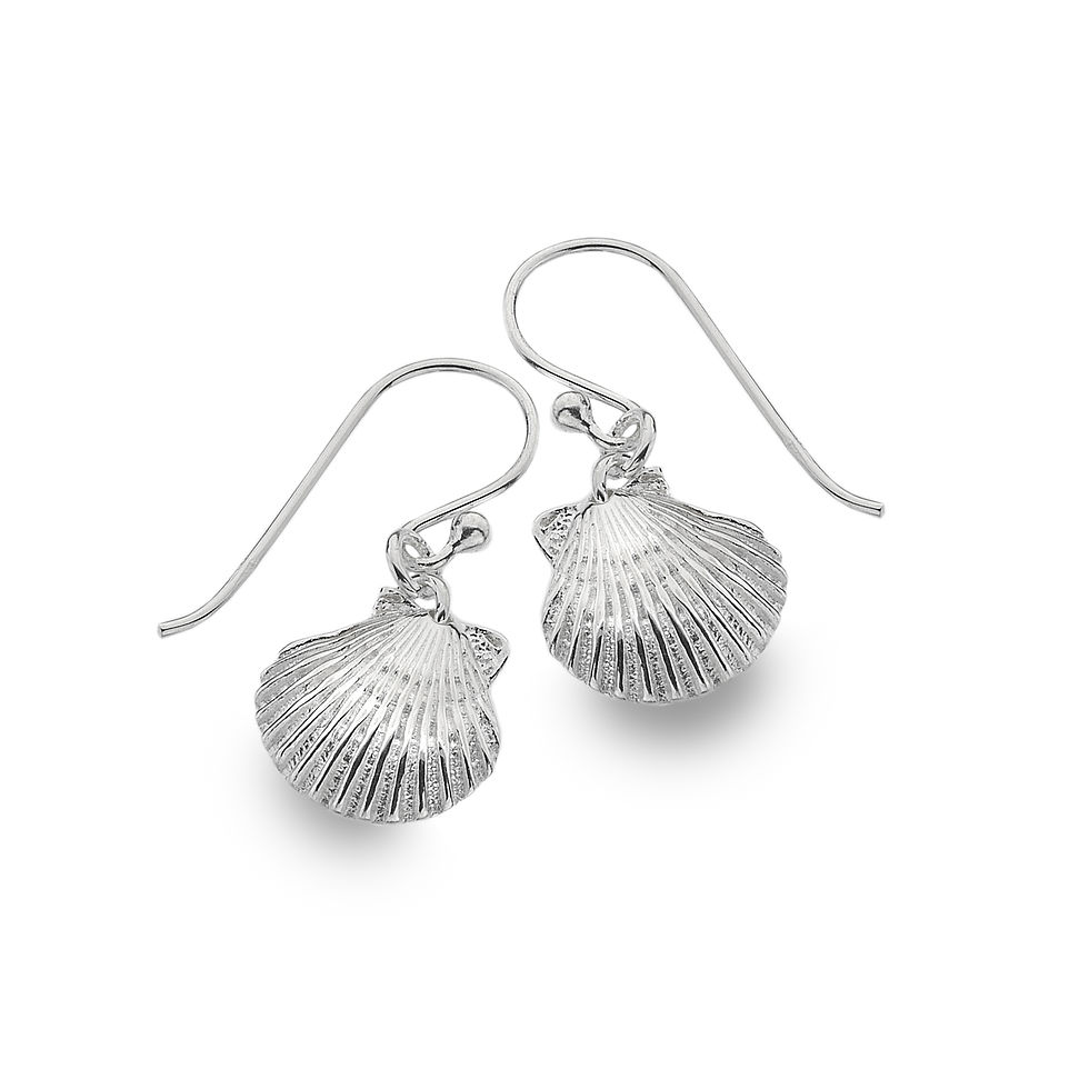 Baby Scallop Shell Earrings (Drops or Studs)