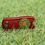 Thumbnail: Glorious Golfers Divot Tool with Ball Marker