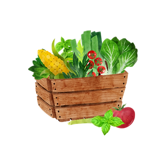 Vegetable box graphic.png