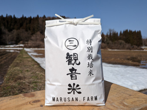 せっちゃん　お米　令和2年　愛媛県産松山三井　玄米　20㎏ Amazon.co.jp: 新米 お米27キロ 令和6年産 茨城県産 コシヒカリ