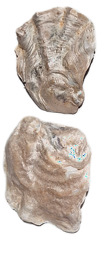 20250616_153354_edited_edited.png
