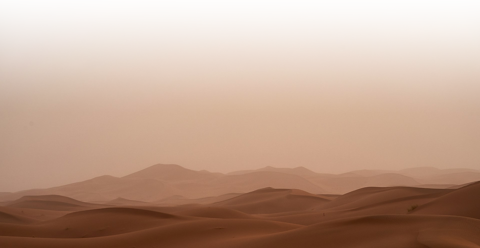 wolfgang-hasselmann-L4VxDFJmaOM-unsplash(2).png