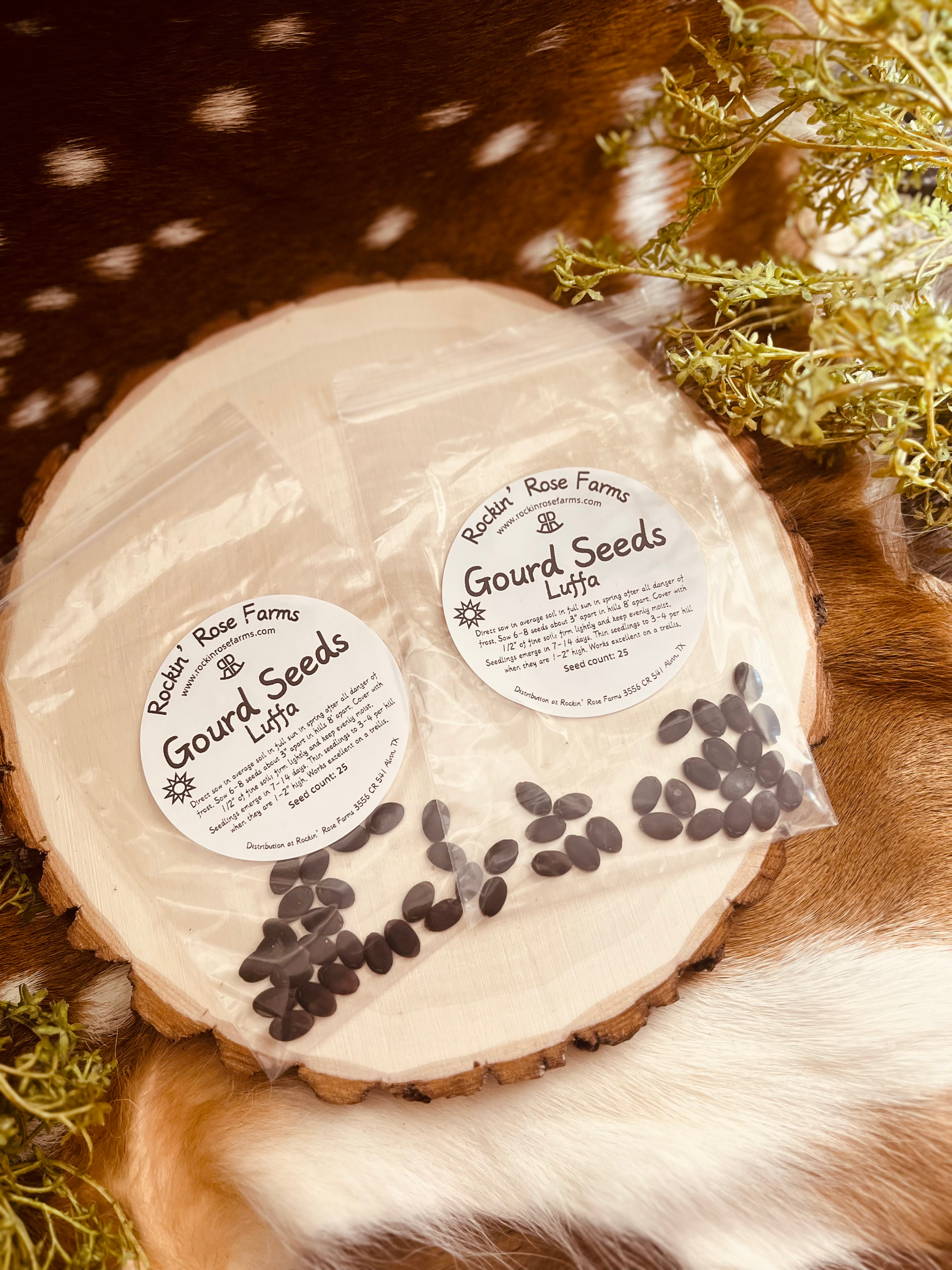 Gourd Seeds: Luffa