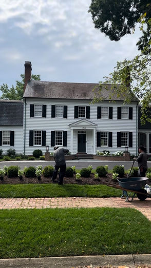 White summer flowers planted in Windsor Farms