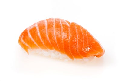 Salmon