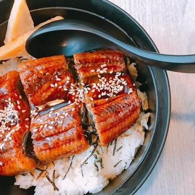 Unagi-Don