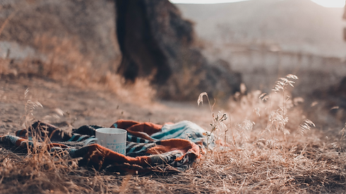 Coffee in Nature_edited.png