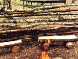 Das Camp von der Survival Schule Niedersachsen, Adventure.Survival & Prepper. Die Natur.