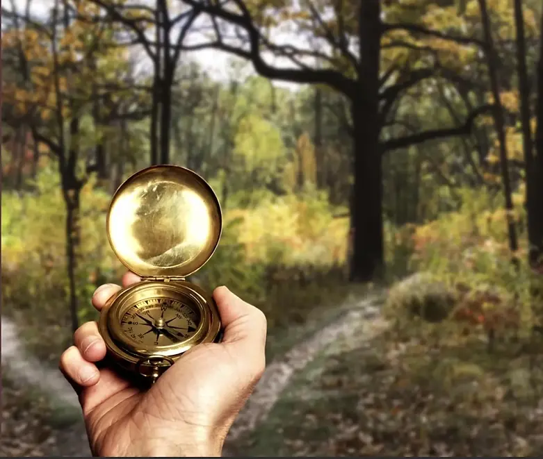 Hand hält goldene Kompass vor herbstlichem Waldweg – Symbol für Orientierung im Survival-Training