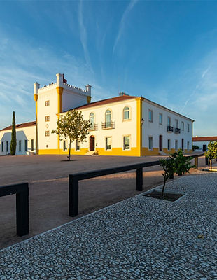 Torre de Palma no Episódio Alentejo 5 Estrelas do Programa Rota Tesouros do Alentejo by Vinhos do Alentejo com Madalena Vidigal