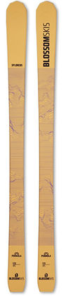 BLOSSOM SKIS 2025-2026 | volare
