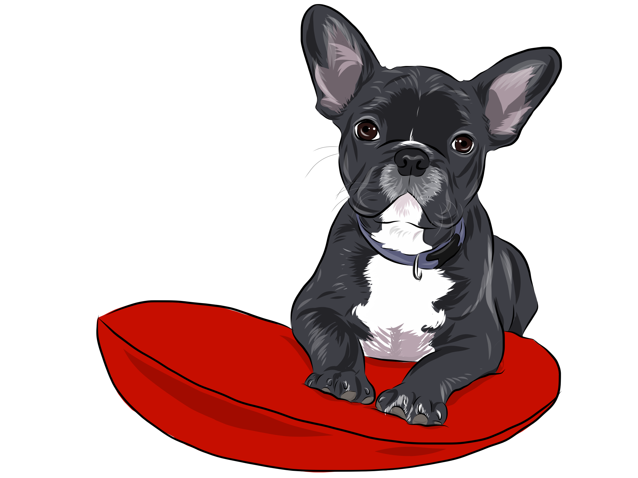 Bouledogue français