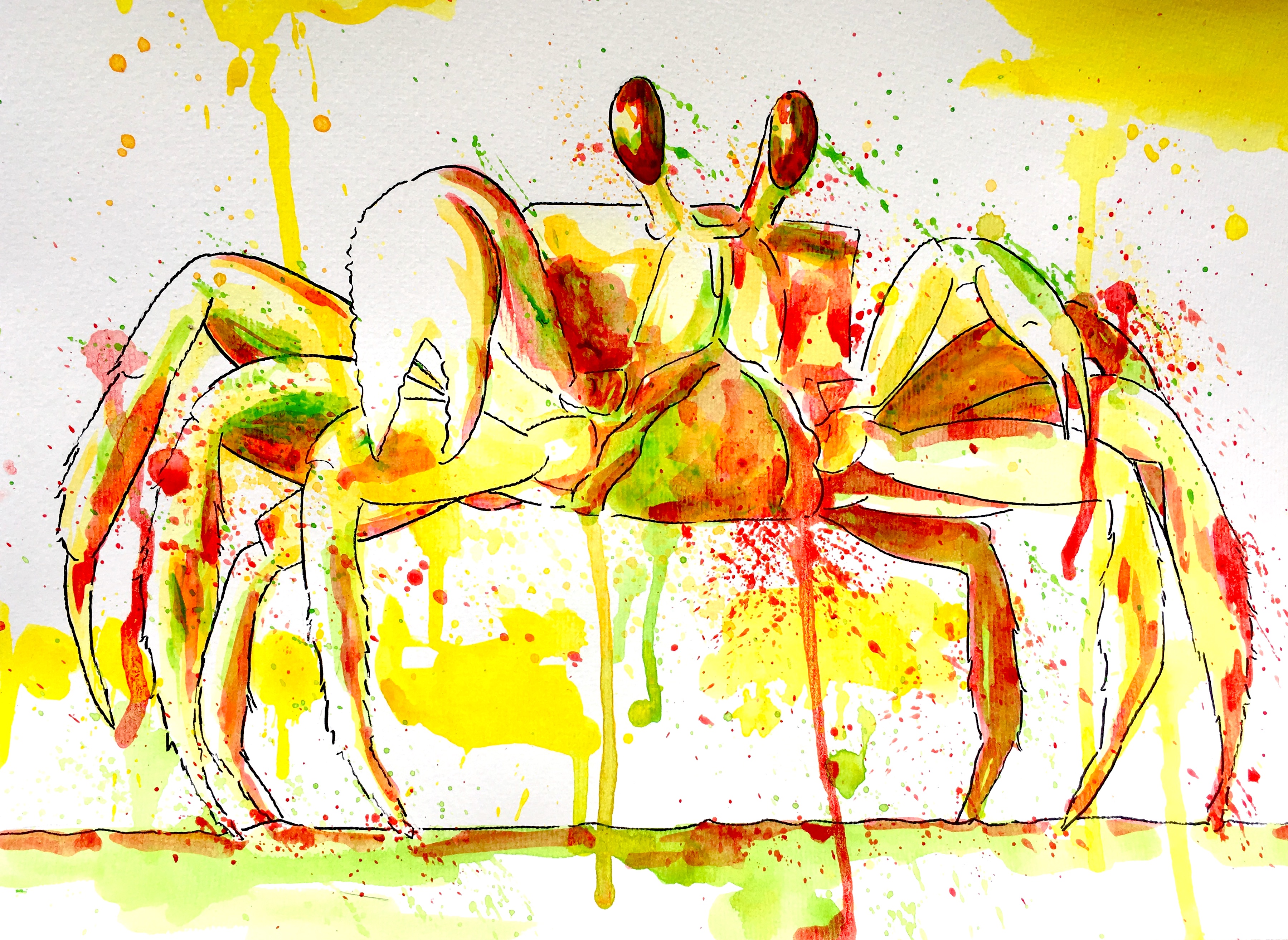 Crabe à l'acrylique
