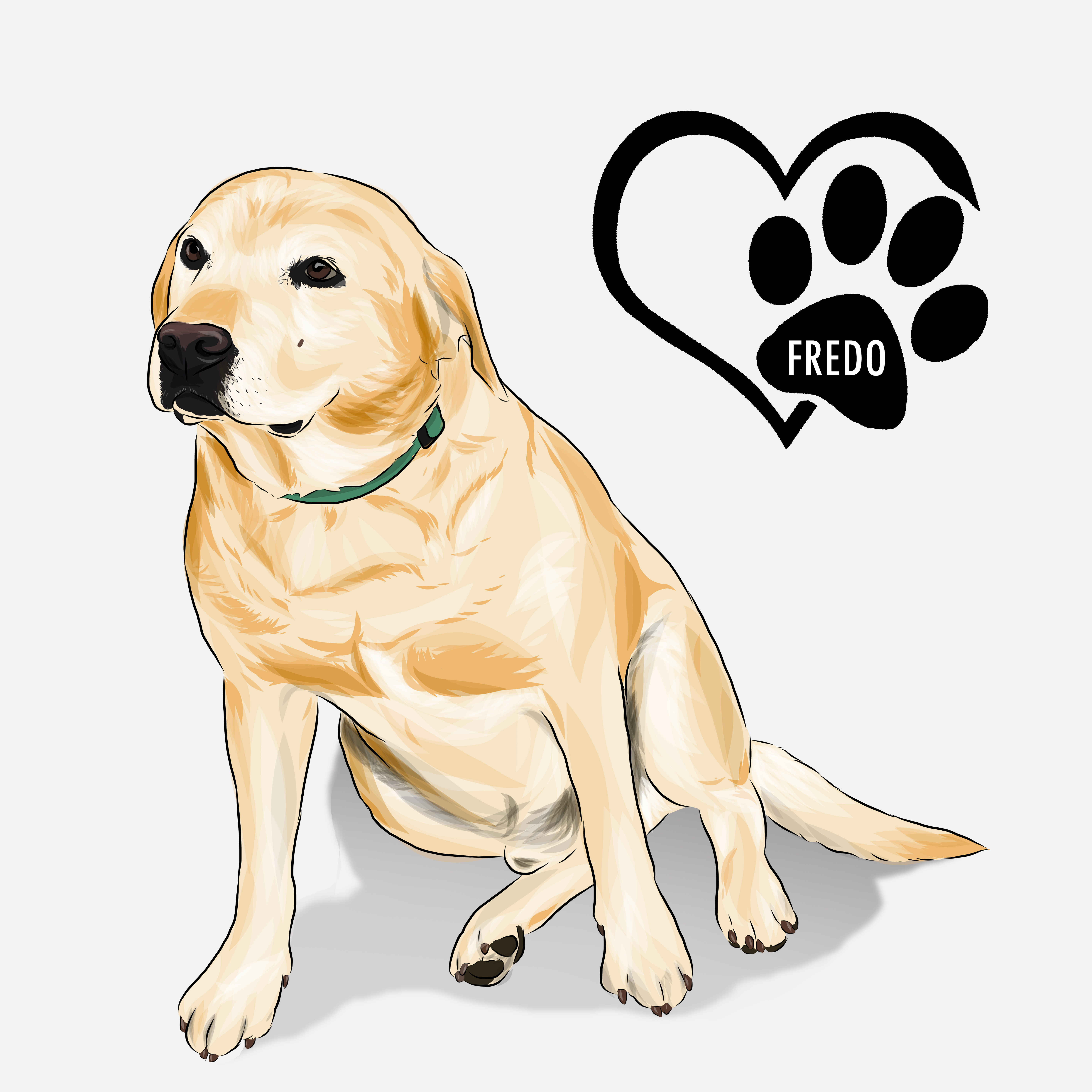 Labrador