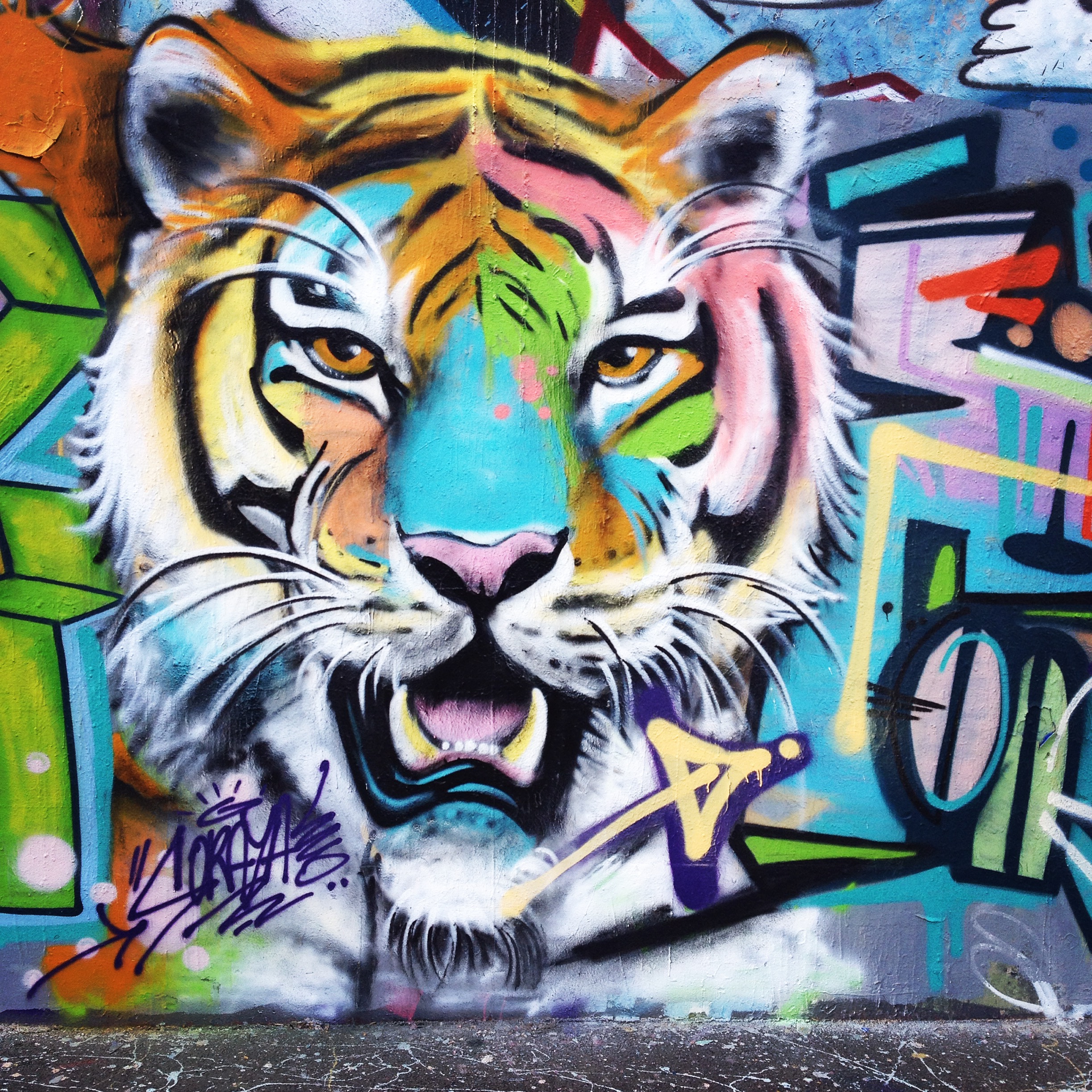 Tigre graffiti