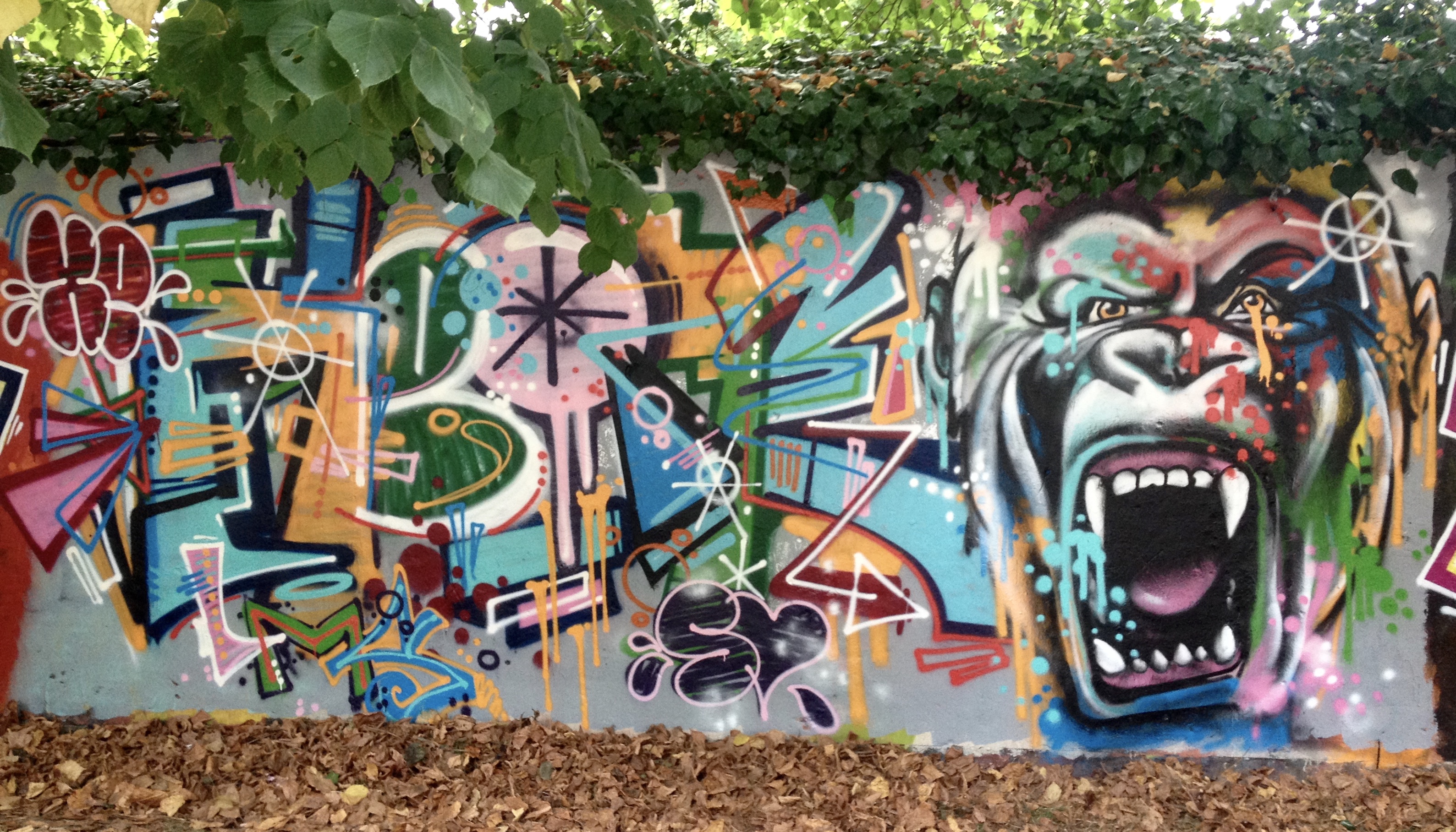 Gorille Graffiti