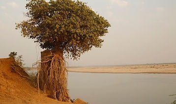 Narmada.jpg