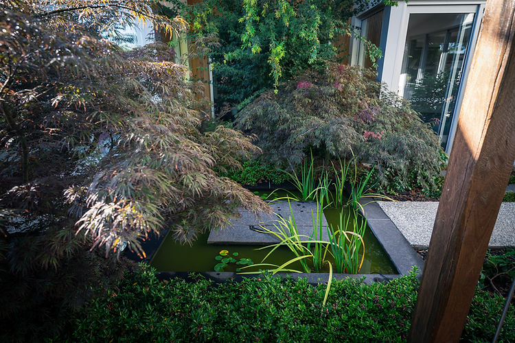 garden design Forrest