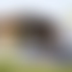 Understanding Hard Money Loans: A Comprehensive Guide for Real Estate Investors