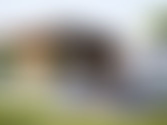 Understanding Hard Money Loans: A Comprehensive Guide for Real Estate Investors