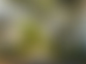 Navigating the Path to Homeownership: A Comprehensive Guide to USDA Mortgages