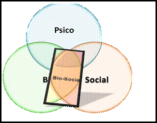 biosocial; zona interferente biosocial; abcd; análisis biopsicosocial de la conducta delictiva;