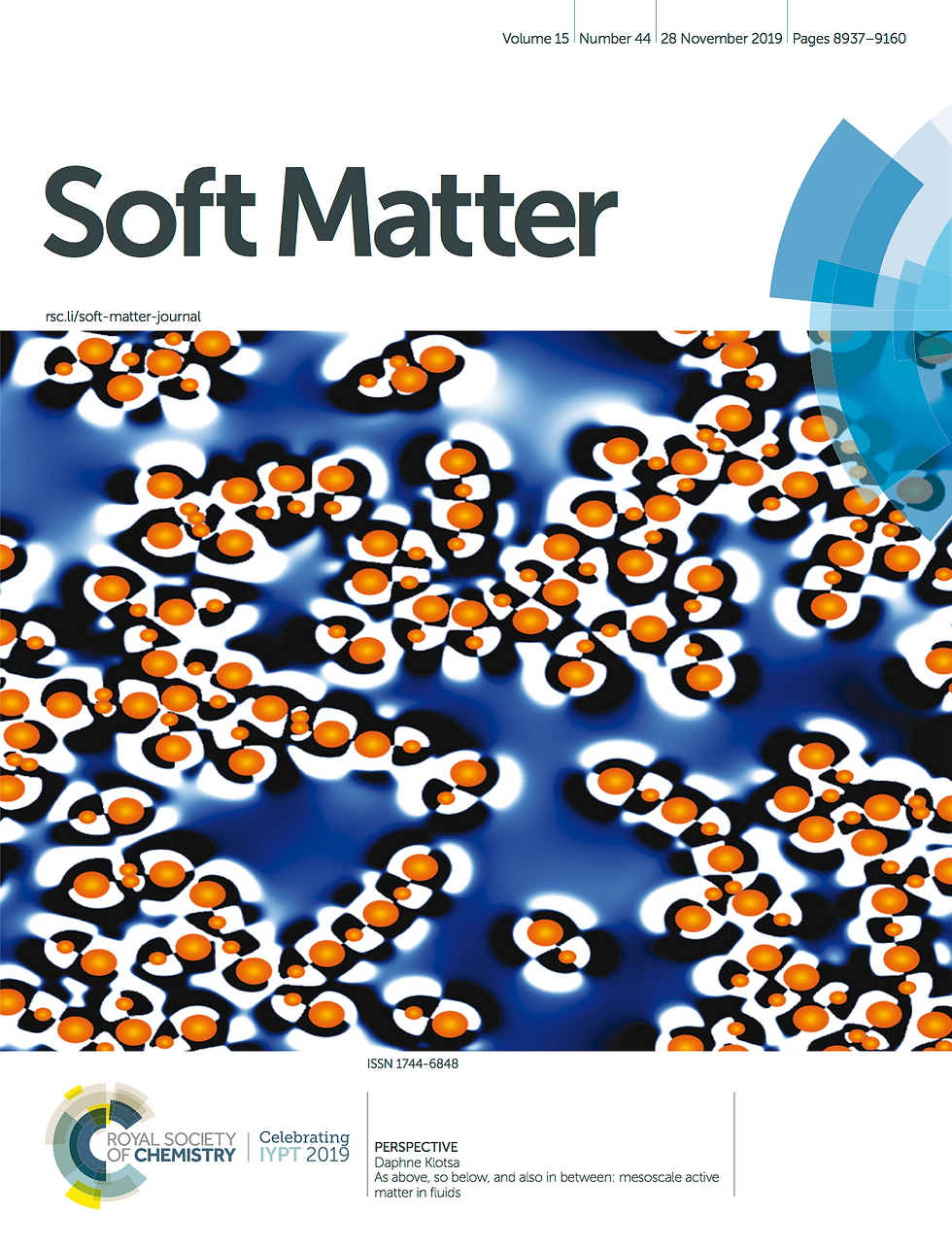 Soft Matter Invited perspective