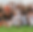 bergen-u19-squad_edited.png