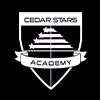 CSA2024 logo