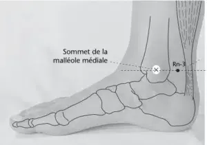 Point 3 rein - Tai Xi