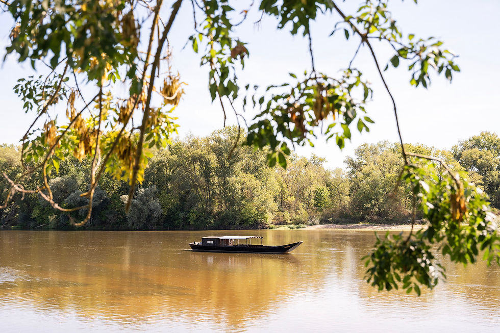 Agir sans forcer : la sagesse du non-agir entre le Su Wen, Śraddhā et logos.