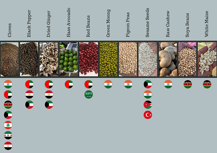 Screen Shot 2024-01-23 at 4.56.53 PM.png