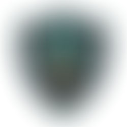 A Symbol That Sparked a Movement