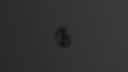 gif-Camera.gif