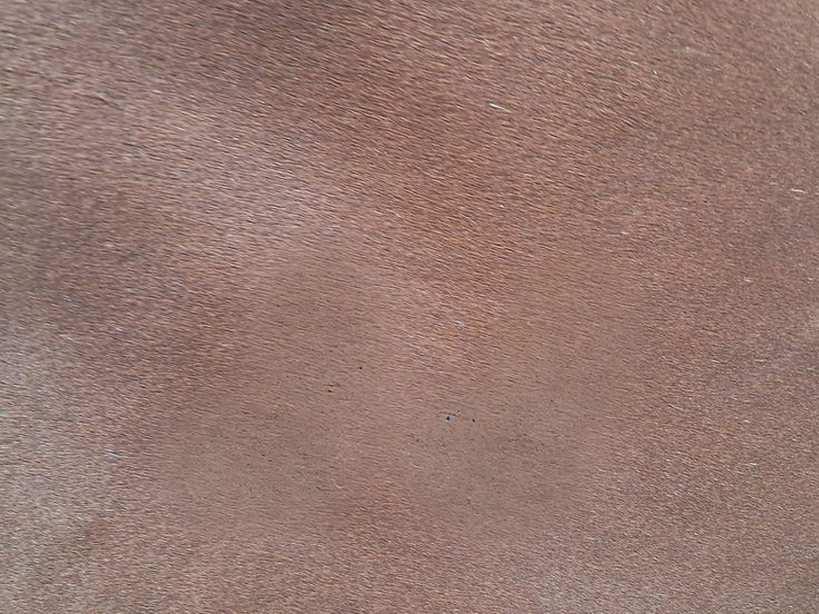 20240816_080330_edited.jpg