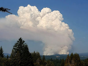 Bull Run Firewise Grows from Wildfire Wake-Up Call