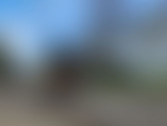 Sharing the Road: Safety Tips for West Salem Drivers and Cyclists