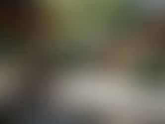 Camp Arrah Wanna Celebrates 85 Years on the Mountain