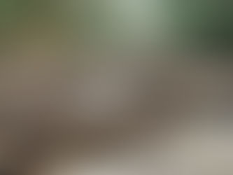 Power Down, Spirits Up: Neighbors Rally Amidst Storm Chaos