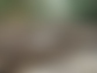 Power Down, Spirits Up: Neighbors Rally Amidst Storm Chaos