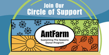 Community Support Matters: Join AntFarm’s Circle of Support this Giving Tuesday