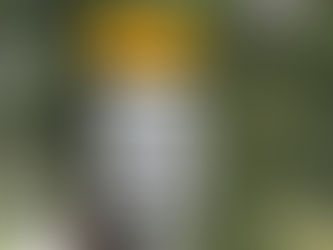 Can New Speed Signs Slow Welches Road? Residents Aren’t Sure