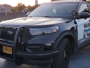 Salem Police, Polk County team up to address theft