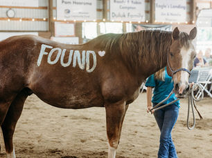 Acres of Hope Youth Ranch Barn Party Fundraiser