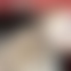 Pet Corner: Living With Cats