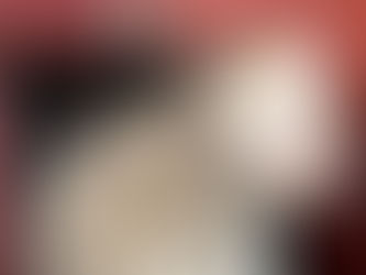 Pet Corner: Living With Cats