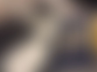 'Hamnet,' Maggie O’Farrell with The Literary Adventures of Amber and Eleanor the Cat