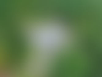 Spring Cleaning the Exterior of Your Home