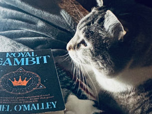 The Literary Adventures of Amber and Eleanor the Cat: Daniel O’Malley's 'The Rook' Series